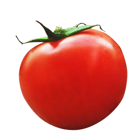 Tomato, Tomato png, Tomato png image, Tomato transparent png image, Tomato png full hd images download